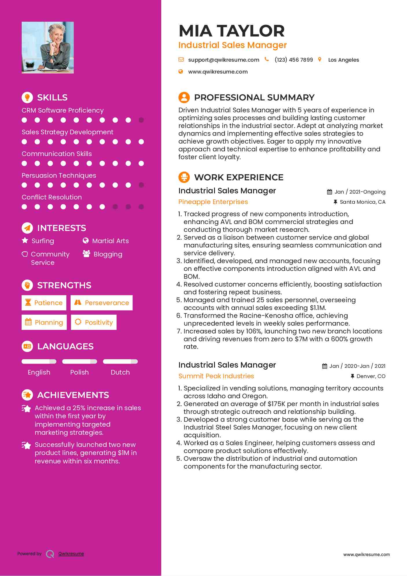 Industrial Sales Manager Resume Format