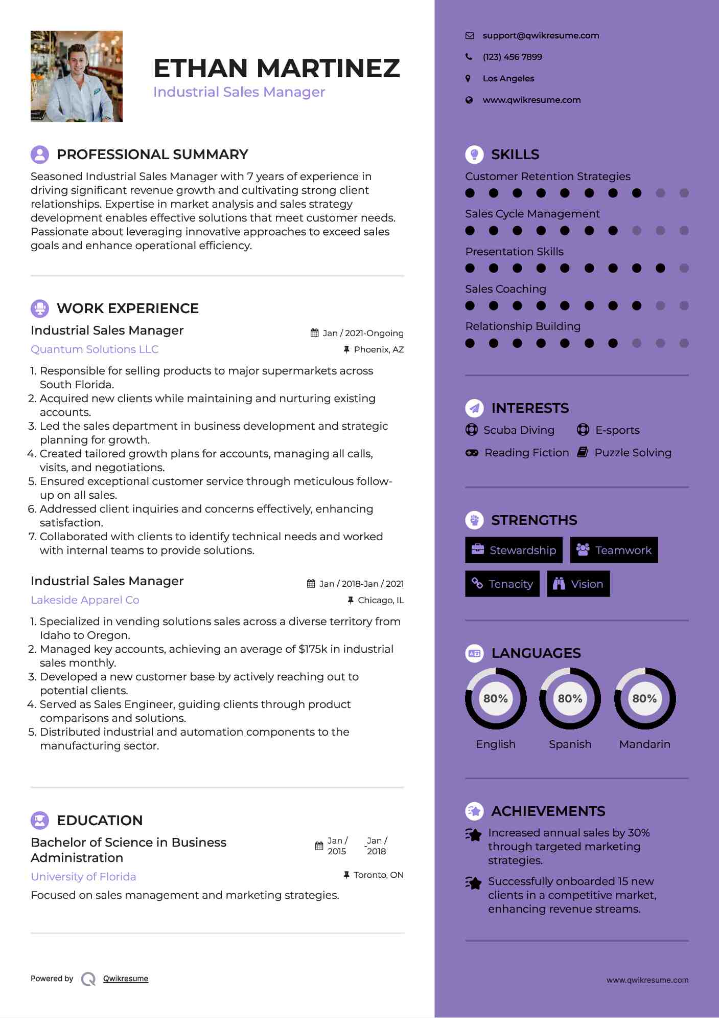 Industrial Sales Manager Resume Template