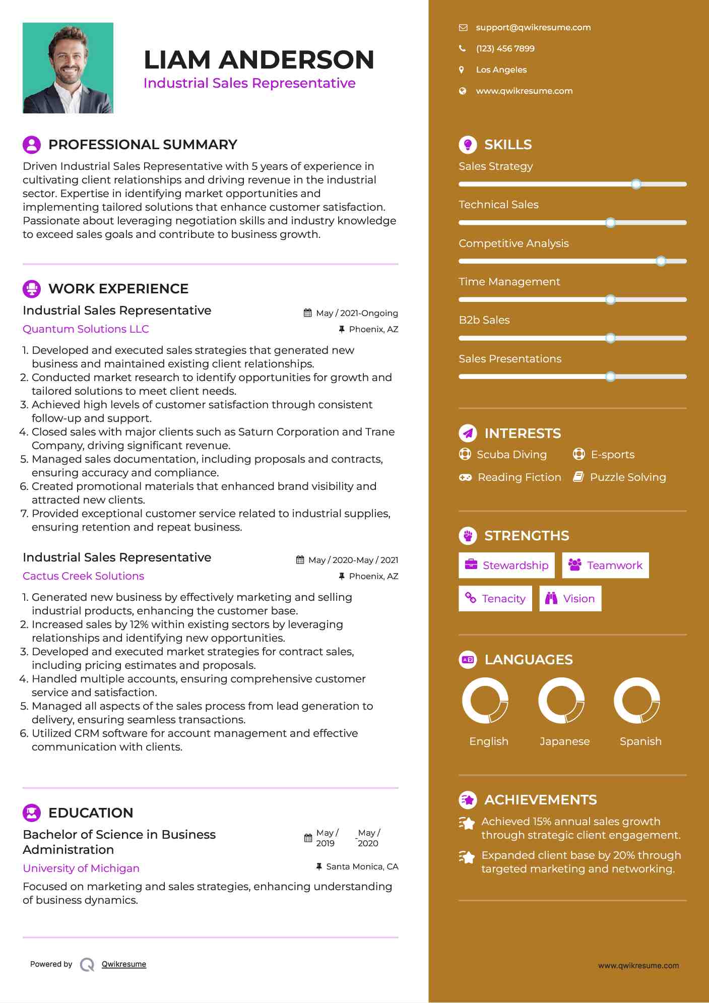 Industrial Sales Representative Resume Sample