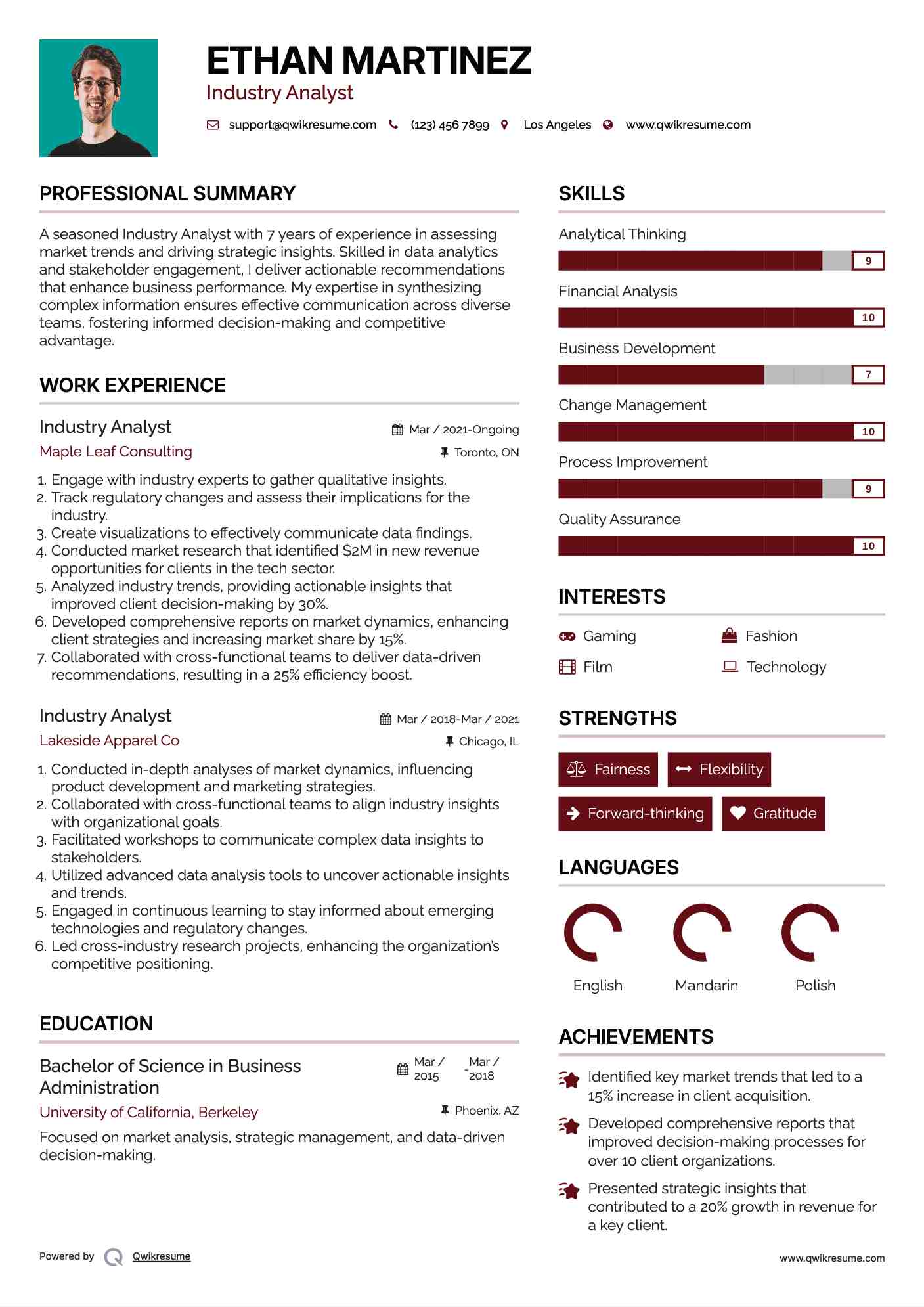 Industry Analyst Resume Model