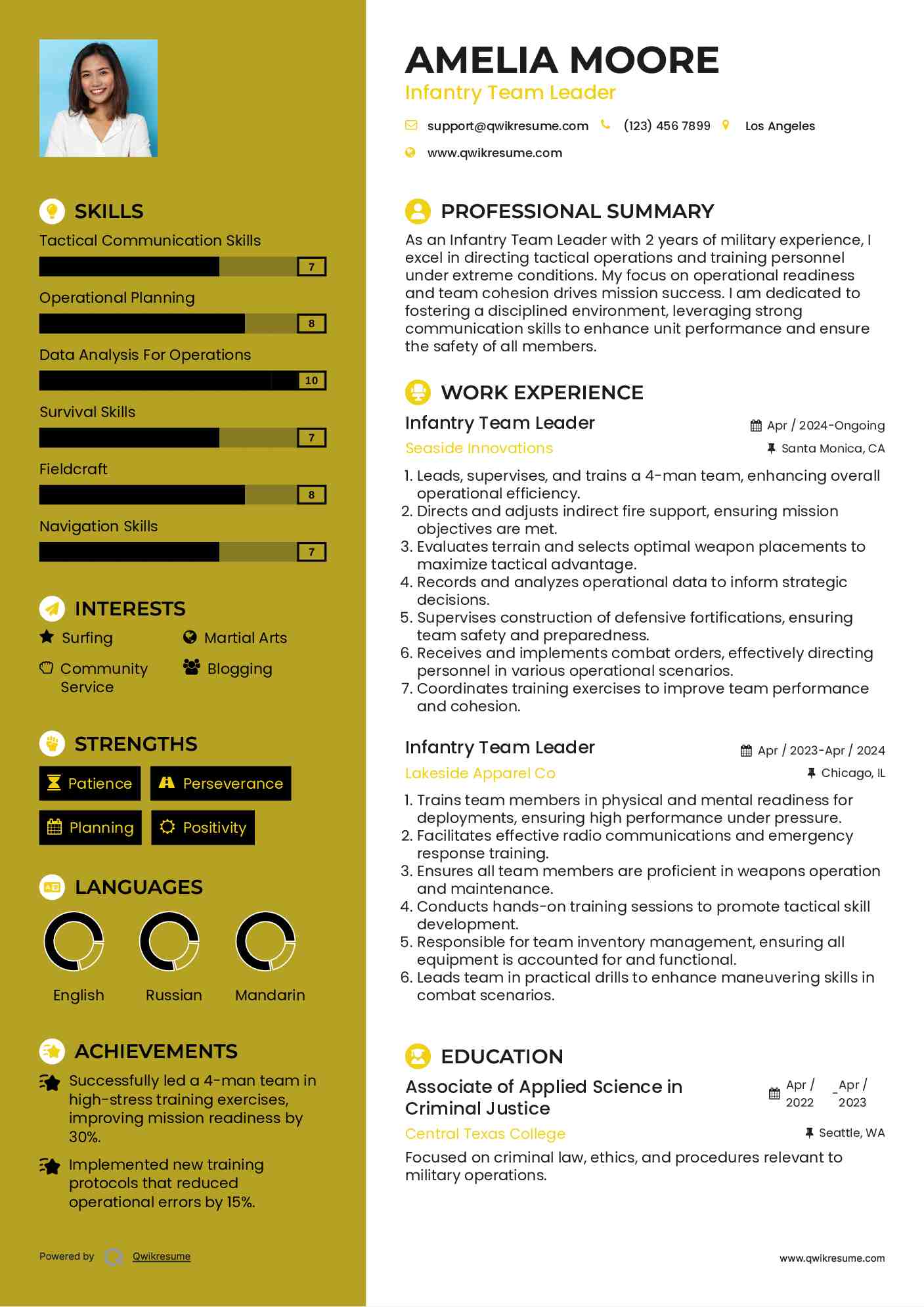 Infantry Team Leader Resume Template