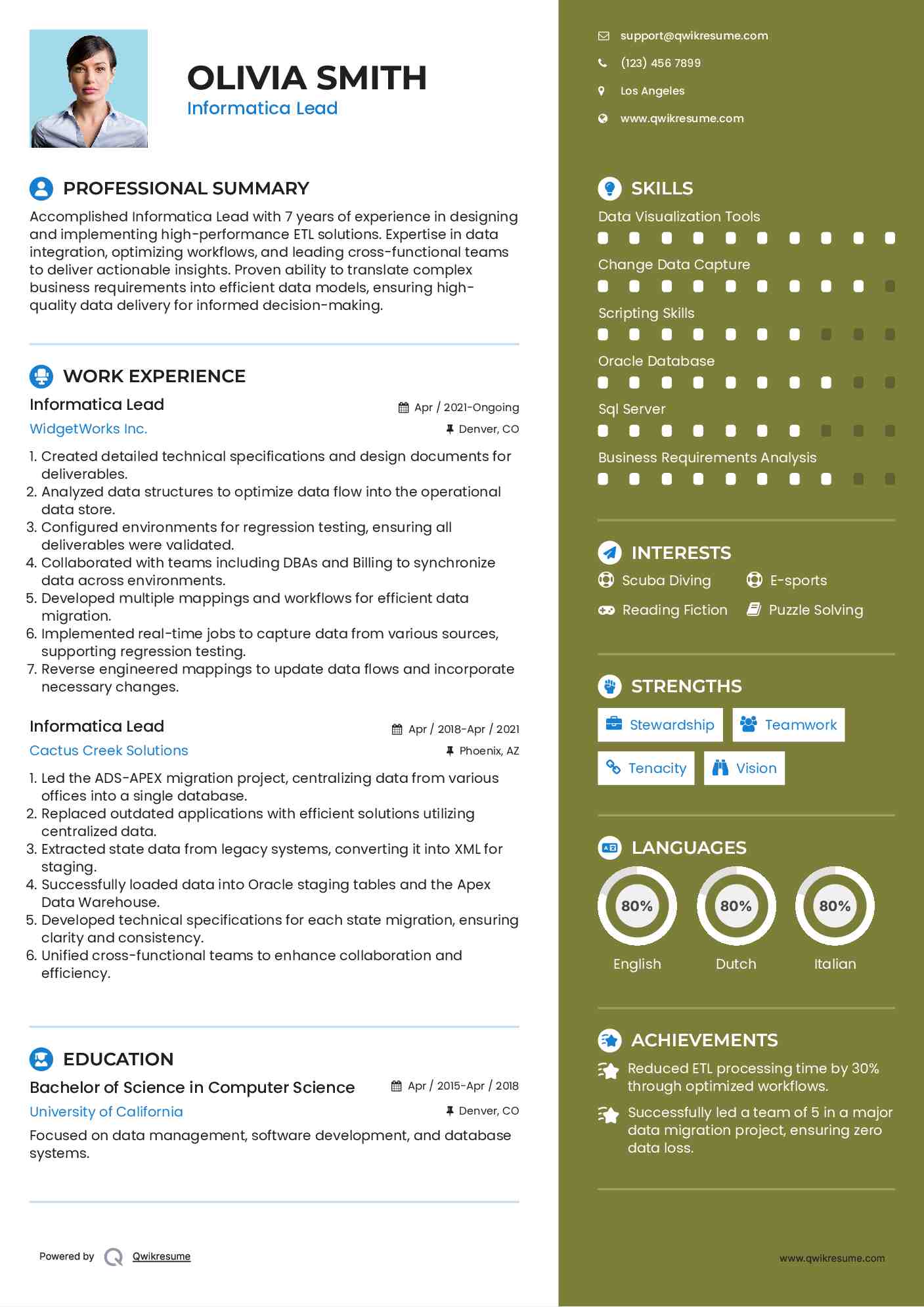 Informatica Lead Resume Example