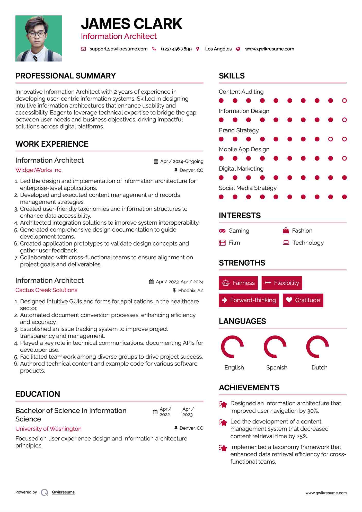 Information Architect Resume Format