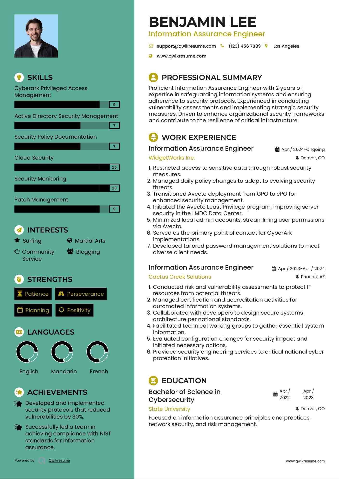 Information Assurance Engineer Resume Example