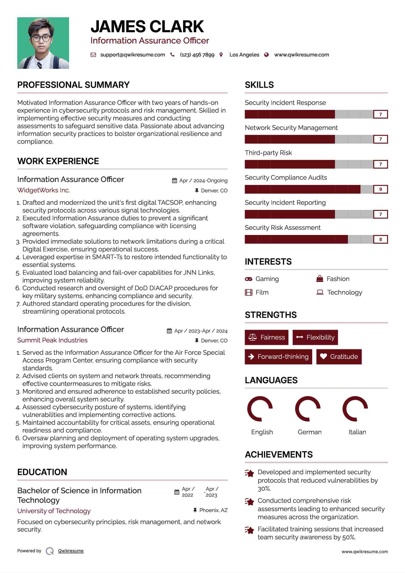 Information Assurance Officer Resume Example