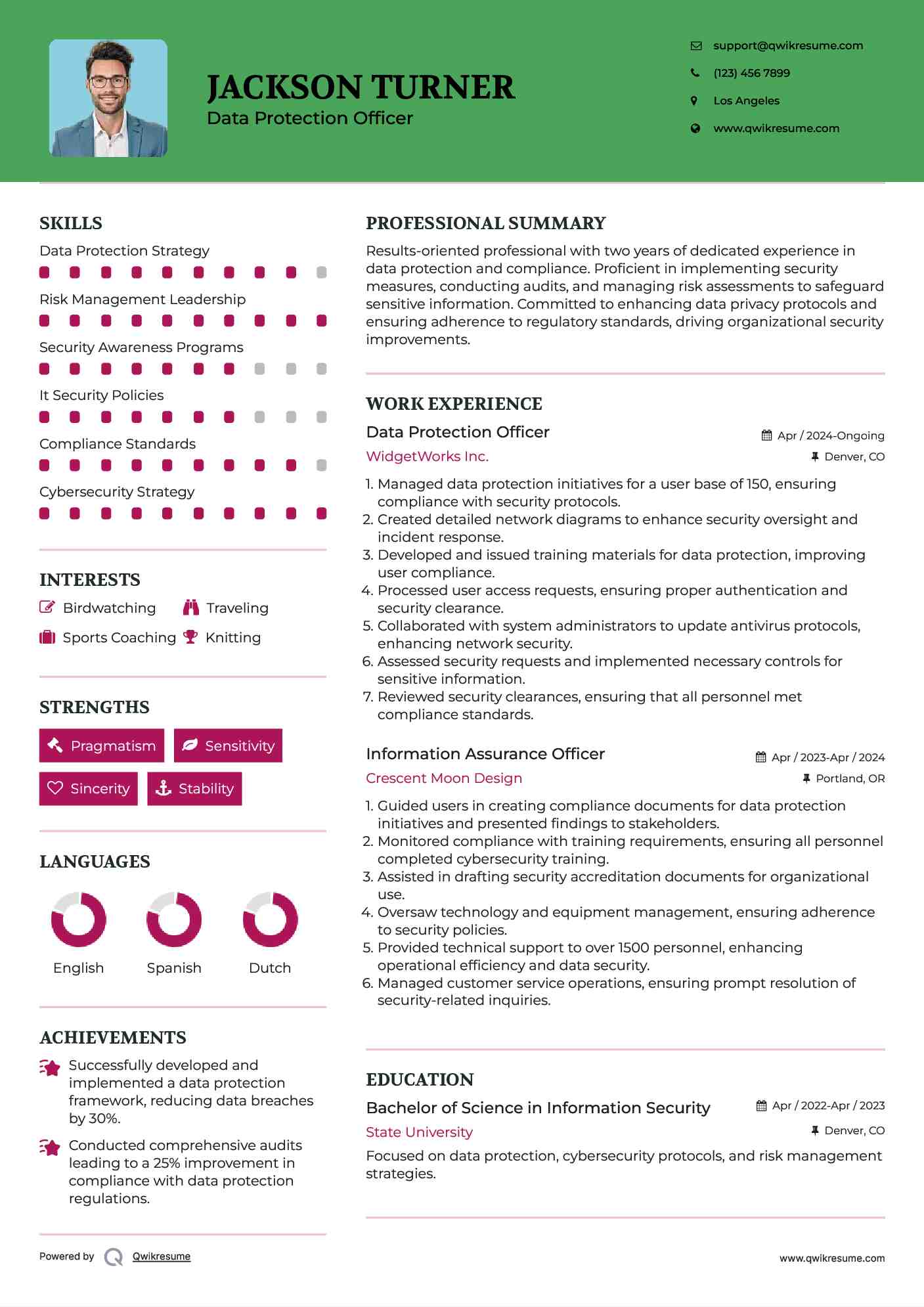 Data Protection Officer Resume Template