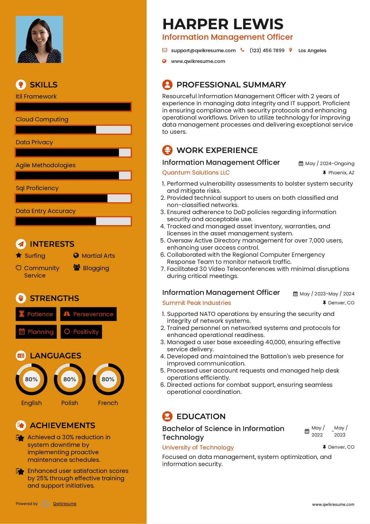 Information Management Officer Resume Example