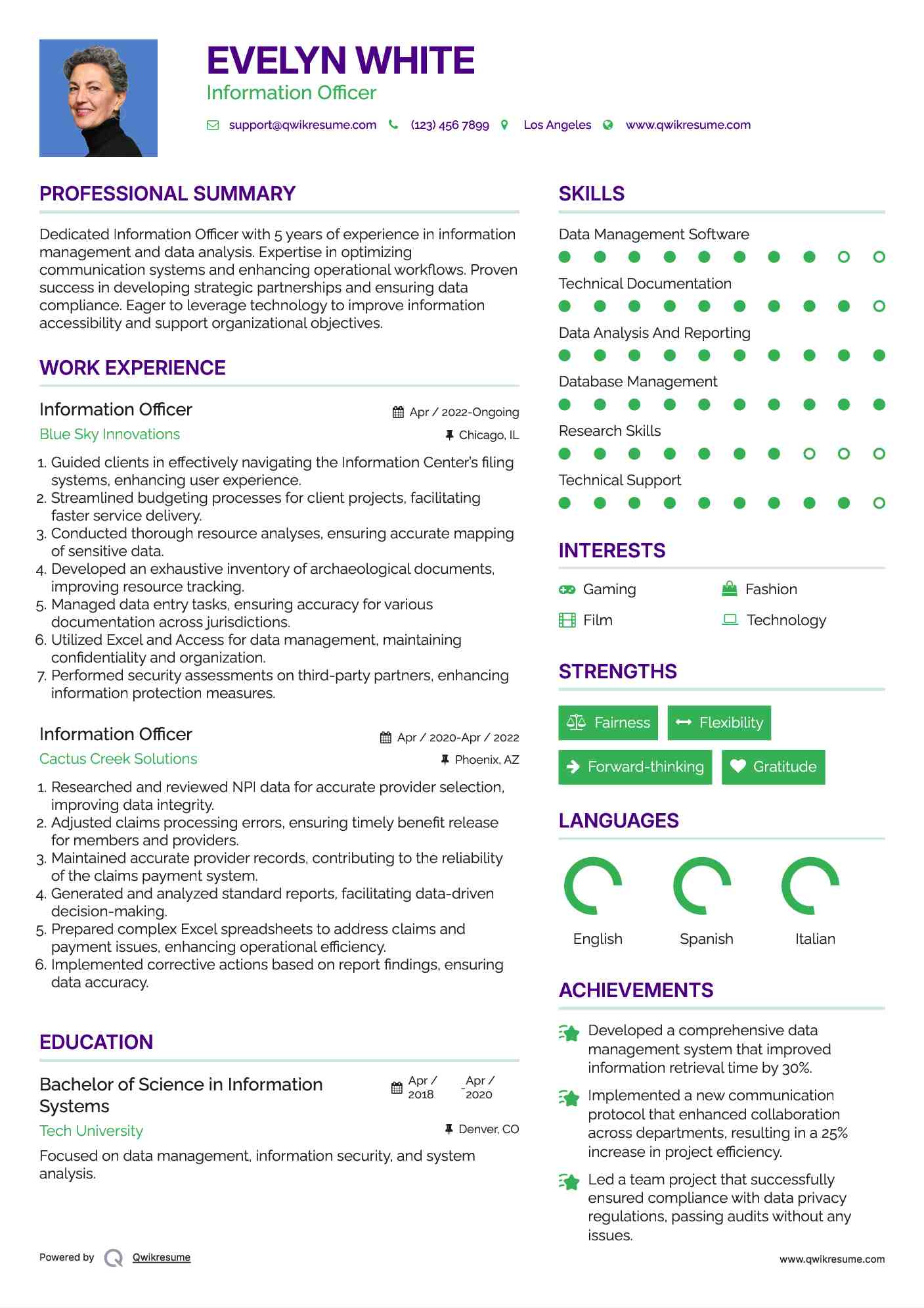 Information Officer Resume Format