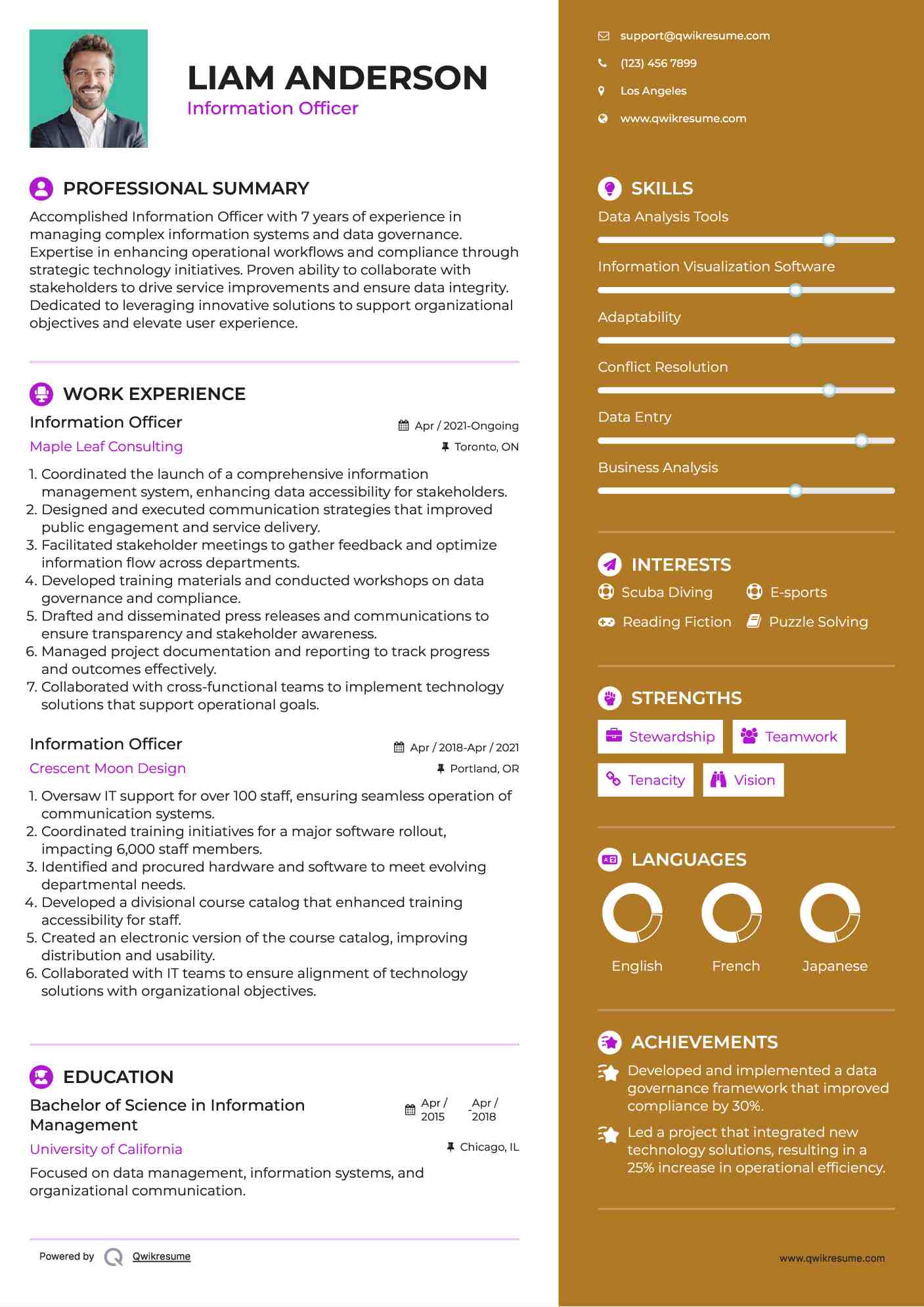 Information Officer Resume Model
