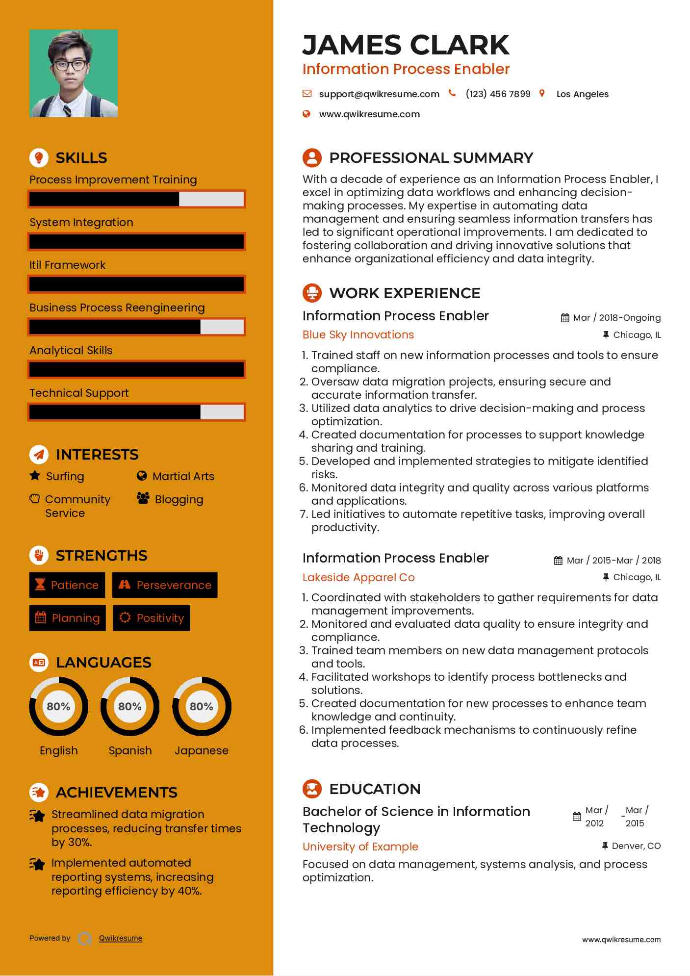 Information Process Enabler Resume Model
