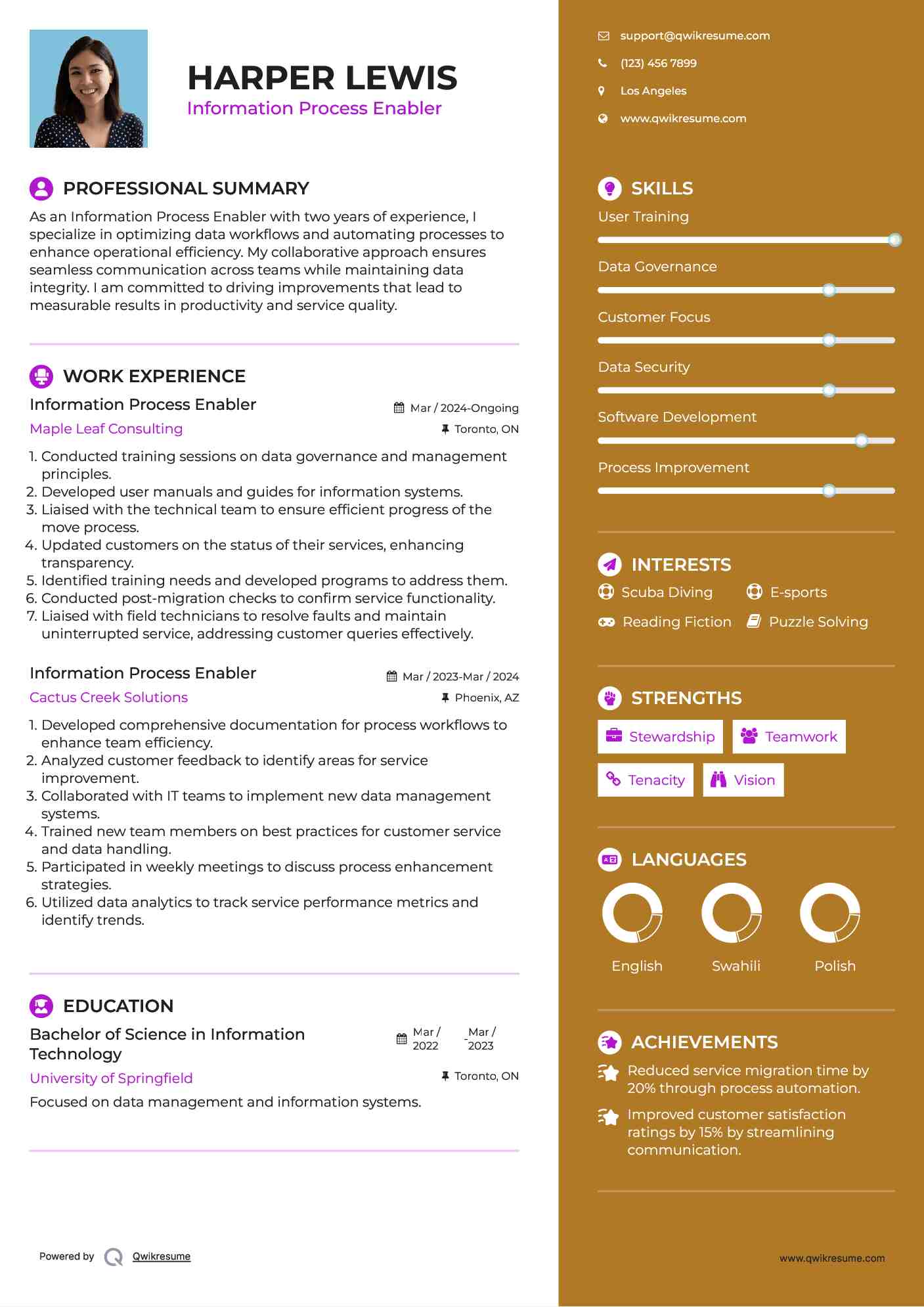 Information Process Enabler Resume Template