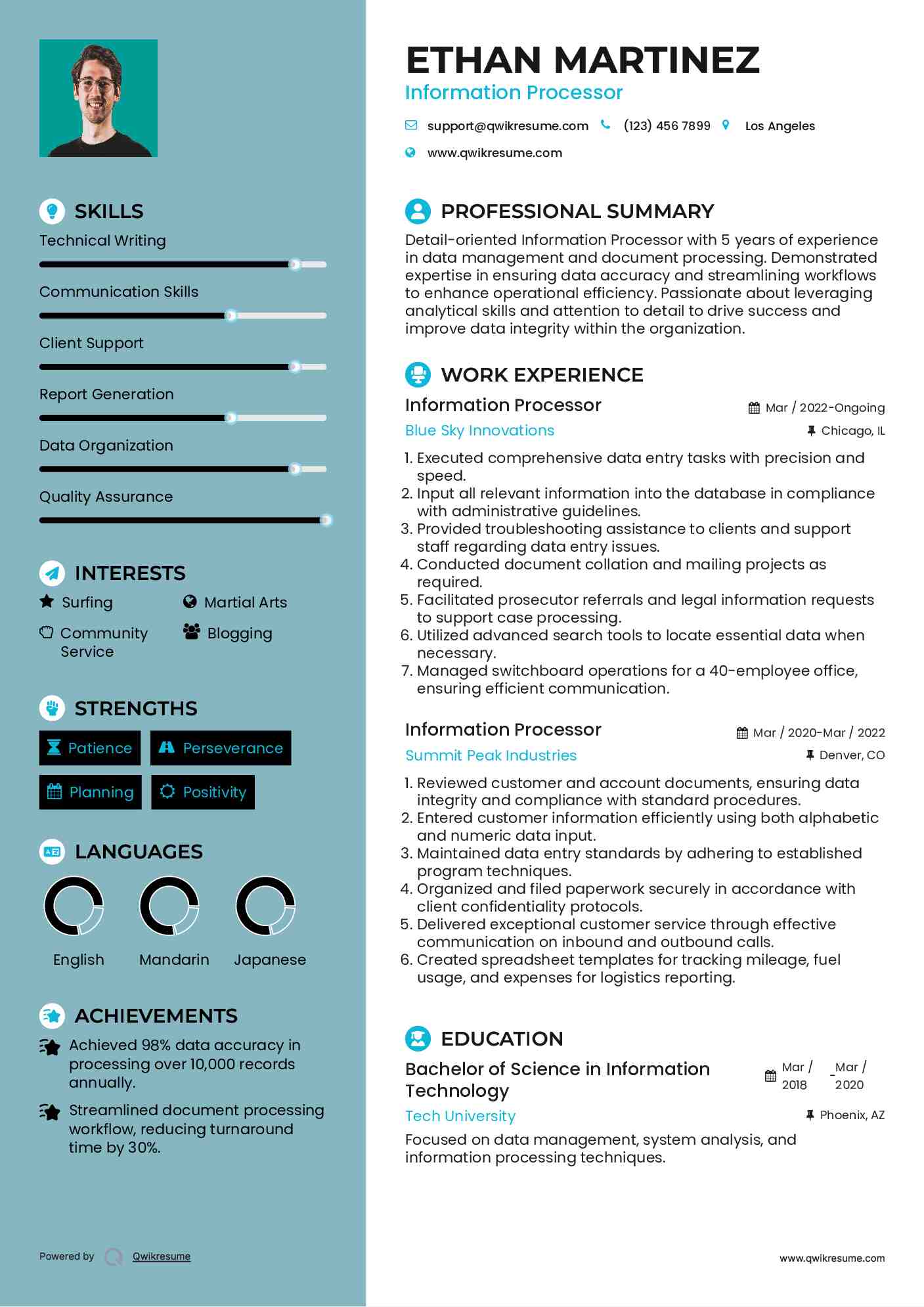 Information Processor Resume Format