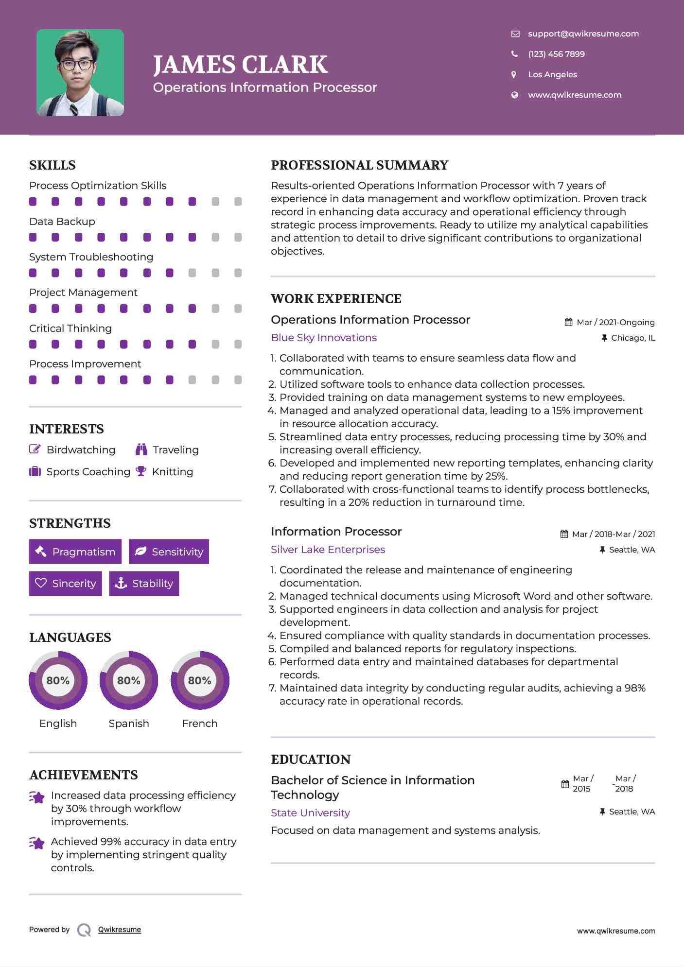 Operations Information Processor Resume Model