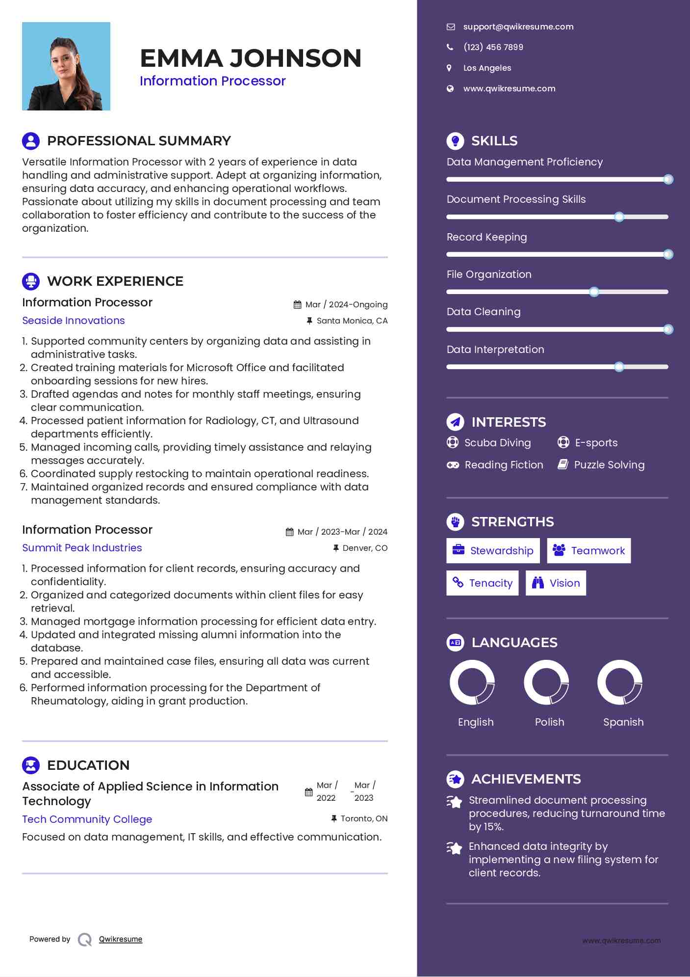 Information Processor Resume Template