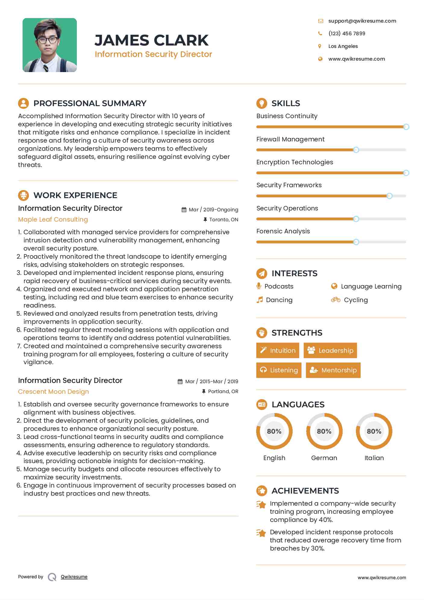 Information Security Director Resume Model