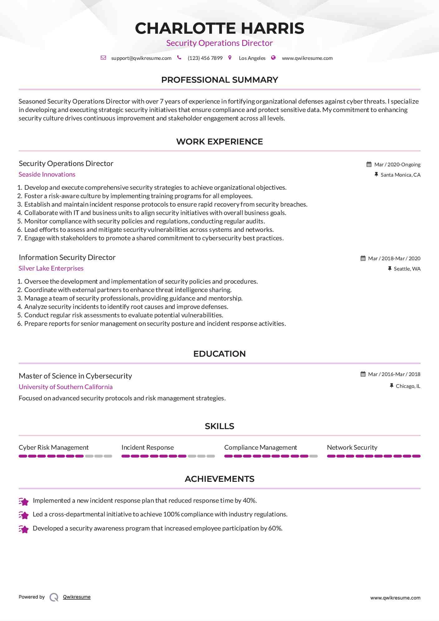 Security Operations Director Resume Template