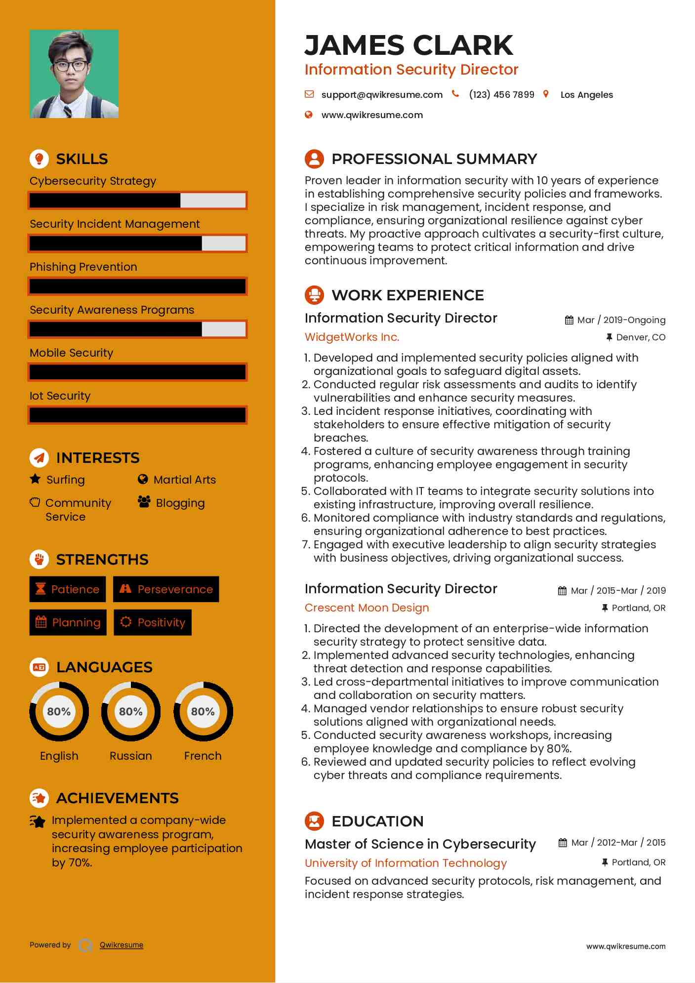 Information Security Director Resume Example