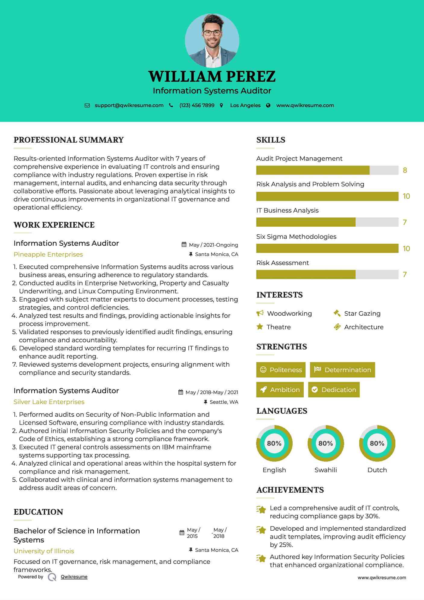 Information Systems Auditor Resume Sample