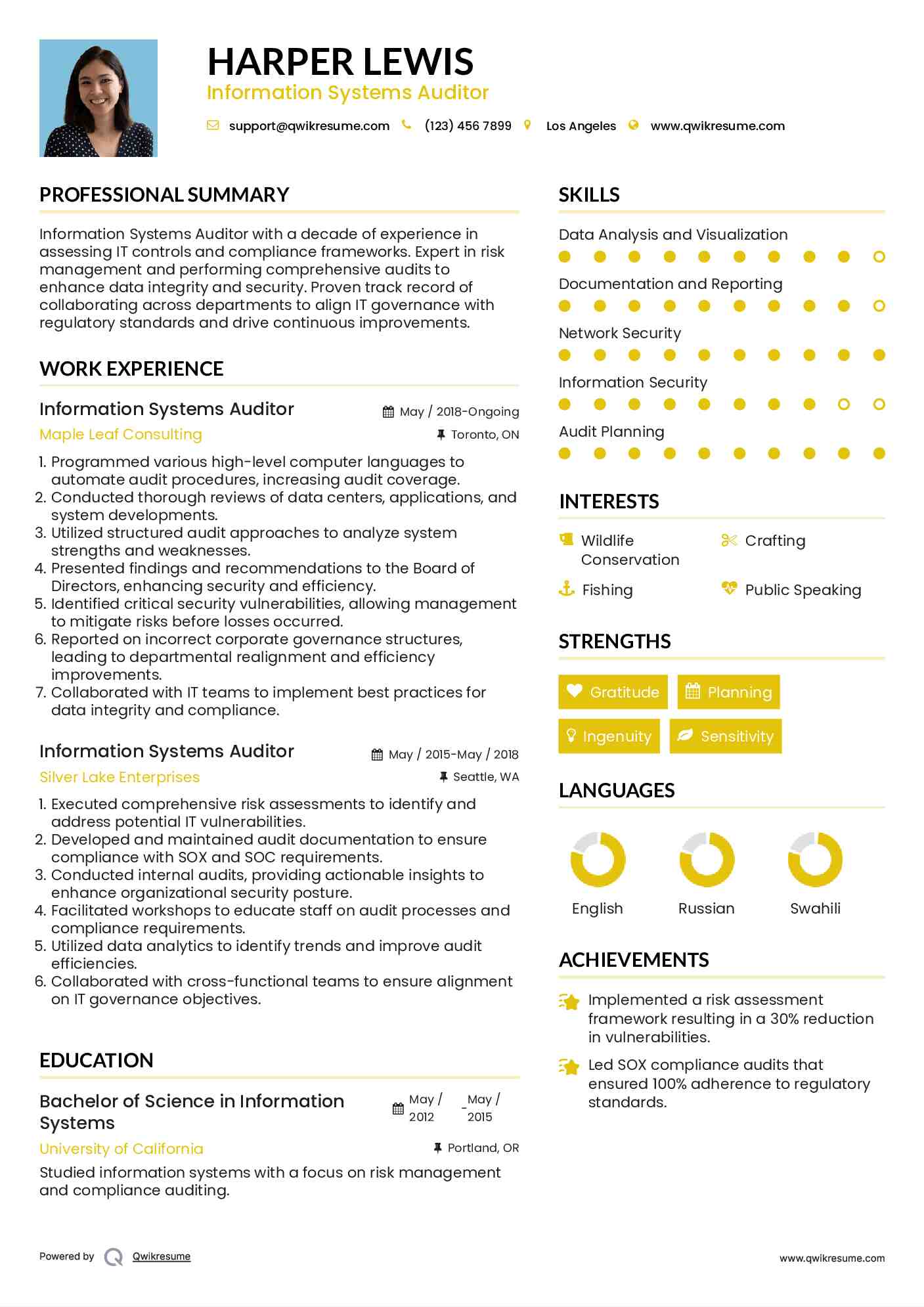 Information Systems Auditor Resume Template