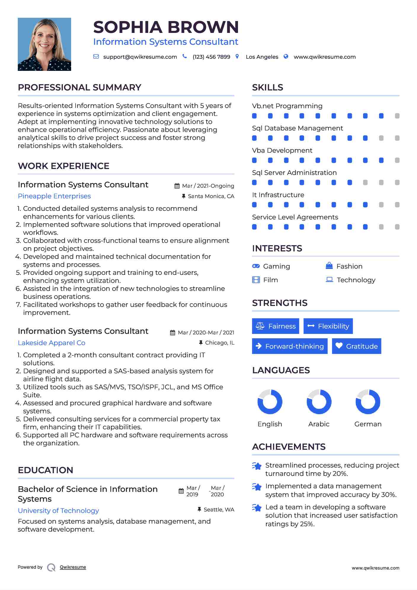 Information Systems Consultant Resume Model