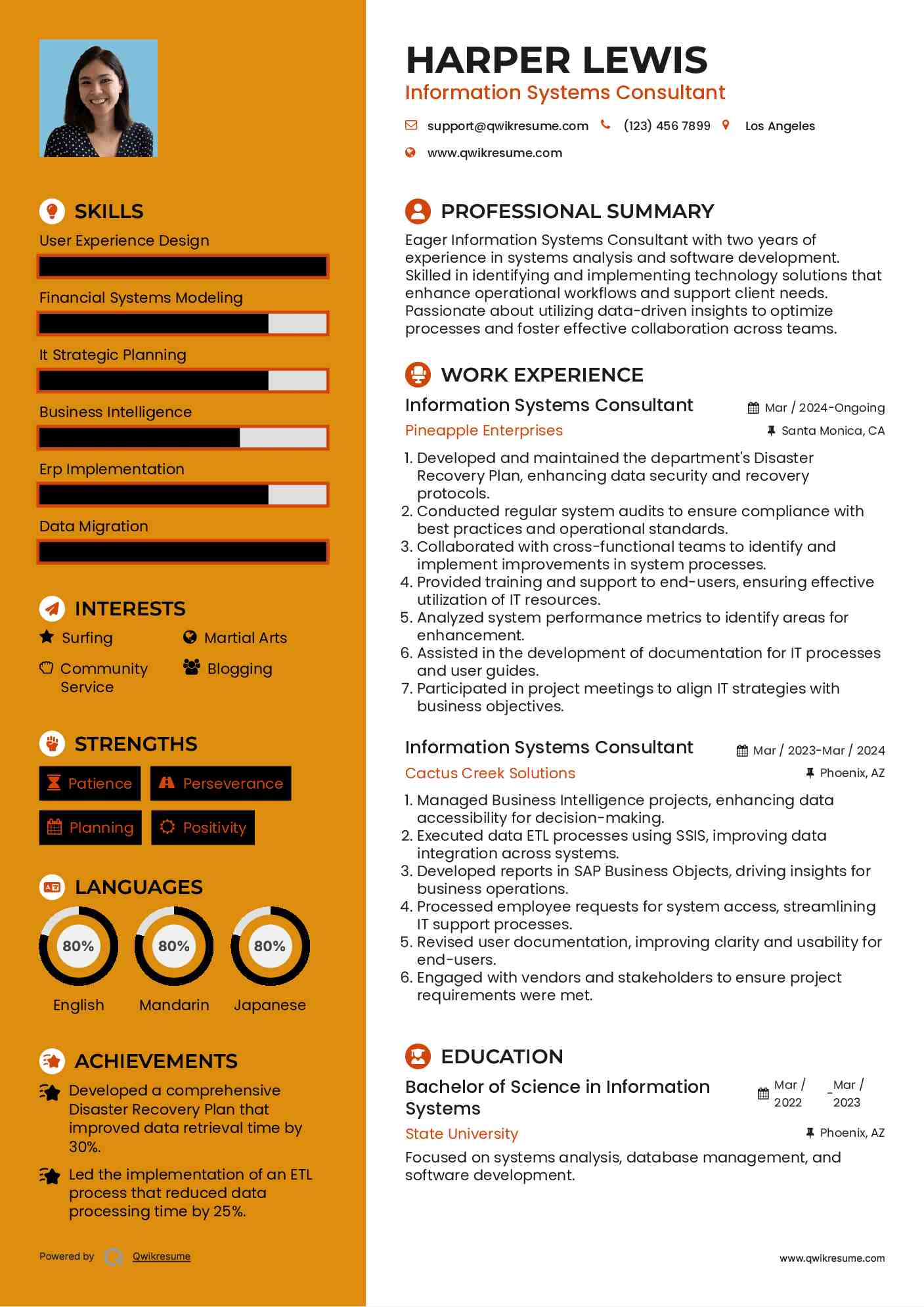 Information Systems Consultant Resume Template