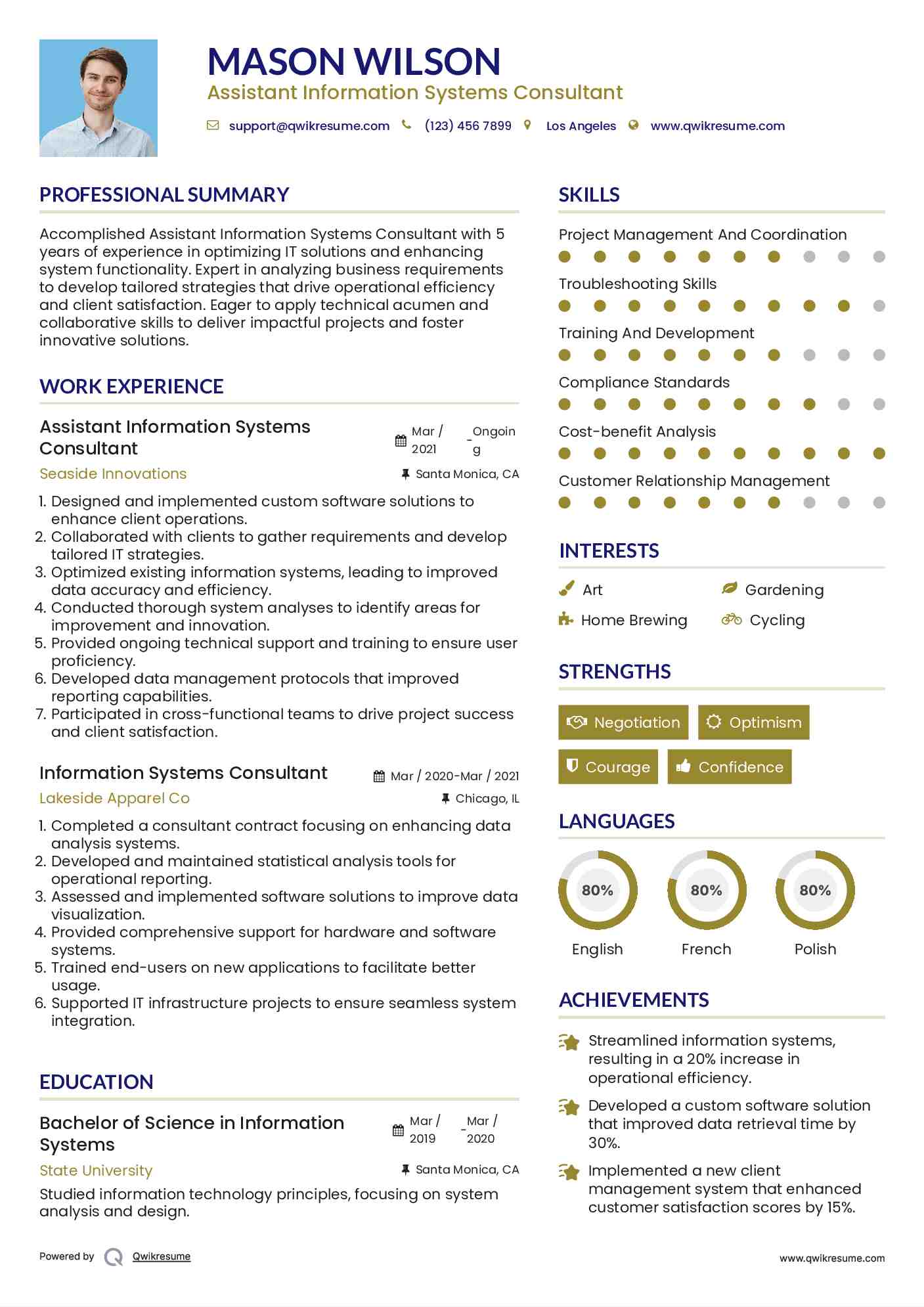 Assistant Information Systems Consultant Resume Sample