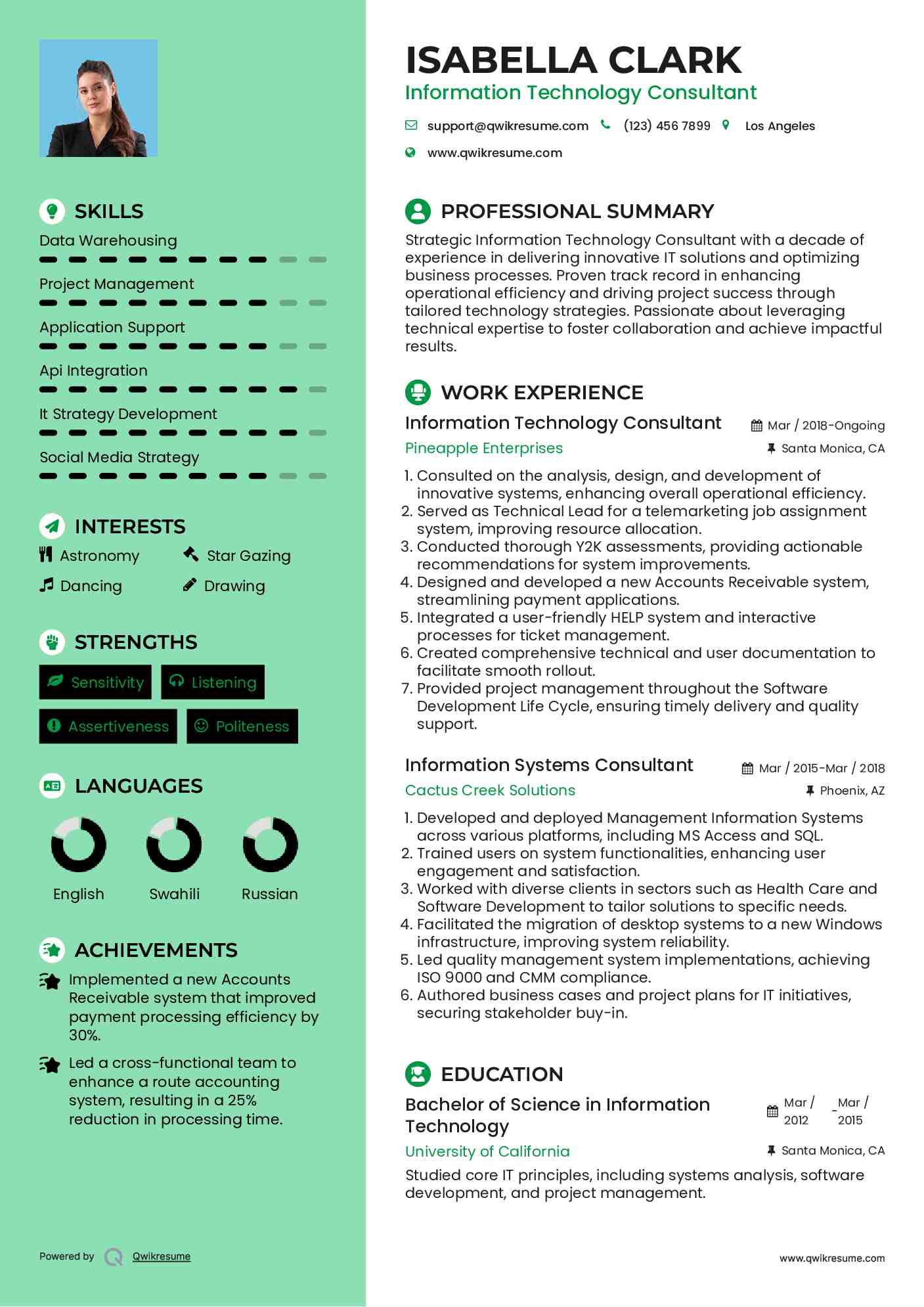 Information Technology Consultant  Resume Template