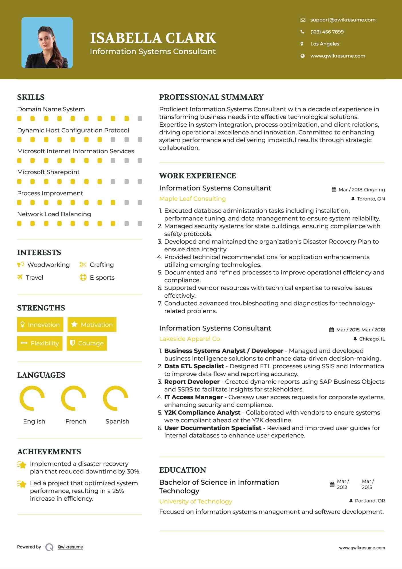 Information Systems Consultant Resume Format