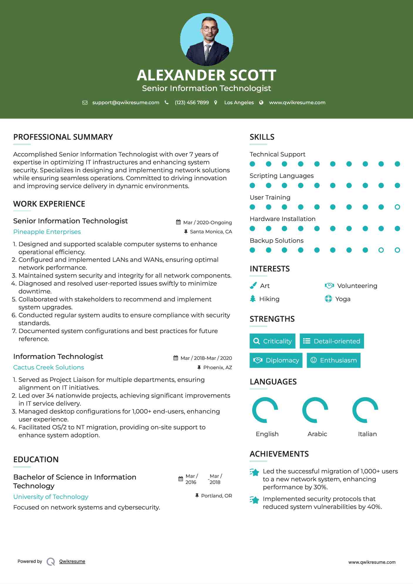 Senior Information Technologist Resume Model