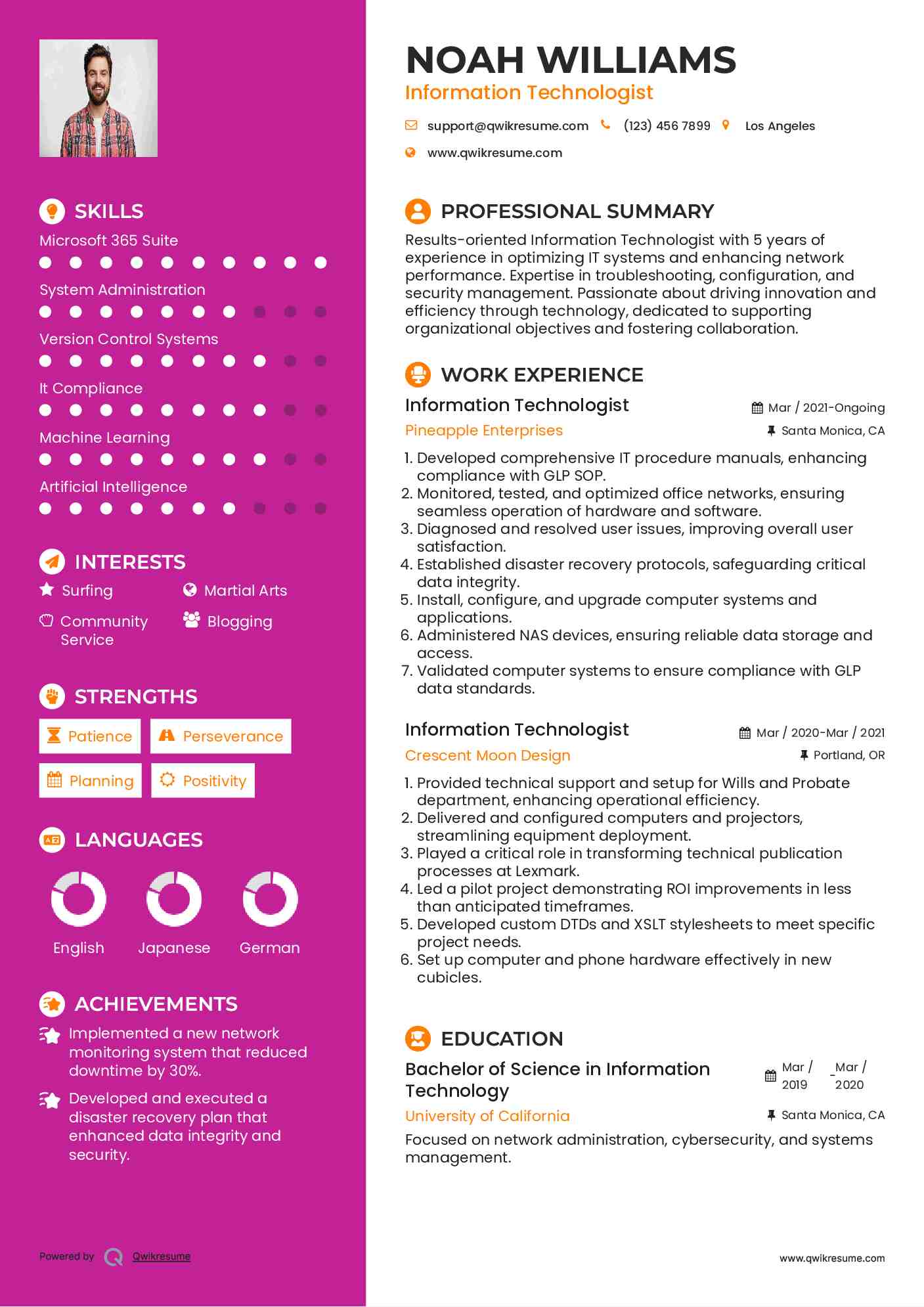 Information Technologist Resume Example