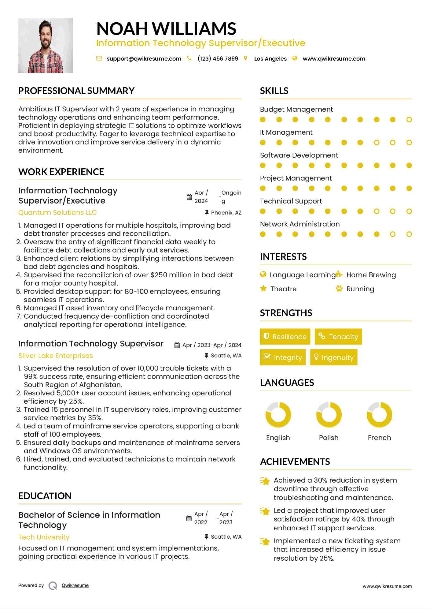 Information Technology Supervisor/Executive Resume Example