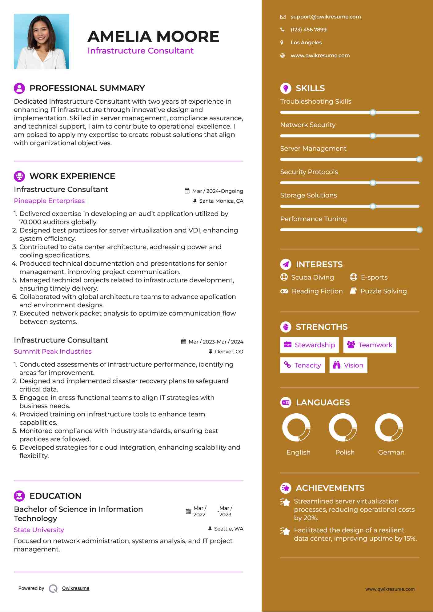 Infrastructure Consultant Resume Example
