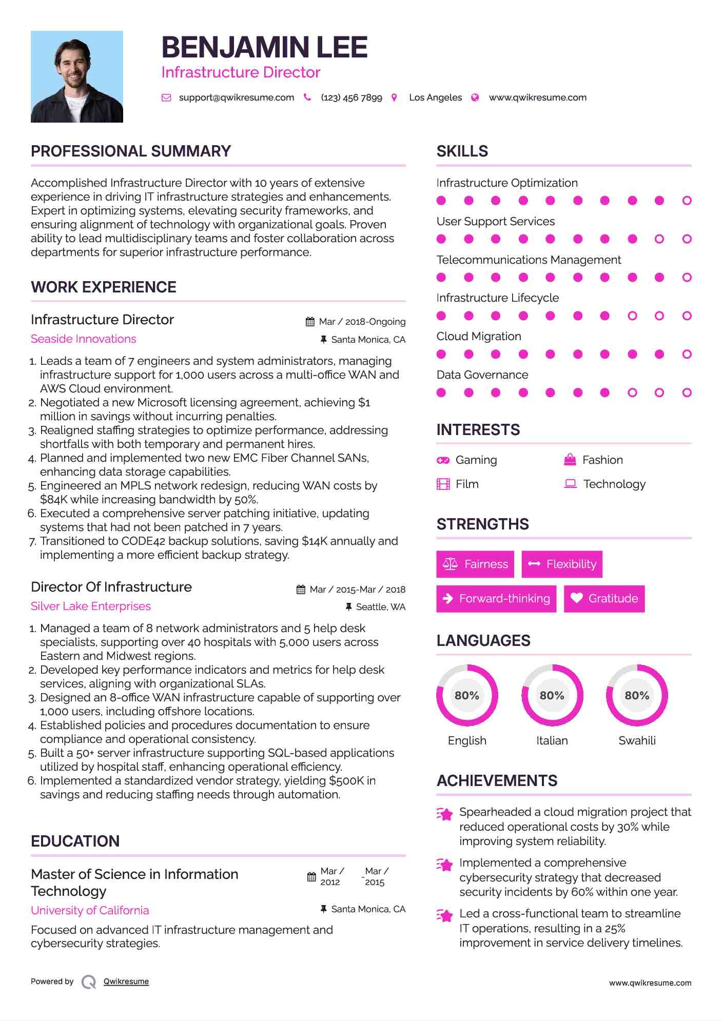 Infrastructure Director Resume Model