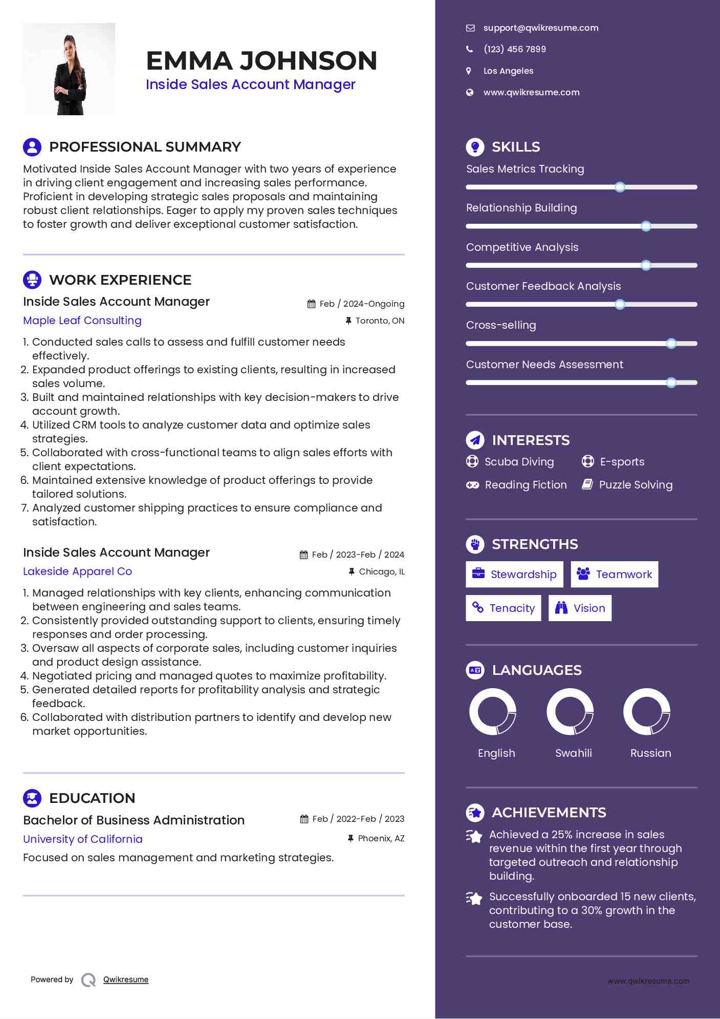 Inside Sales Account Manager Resume Sample
