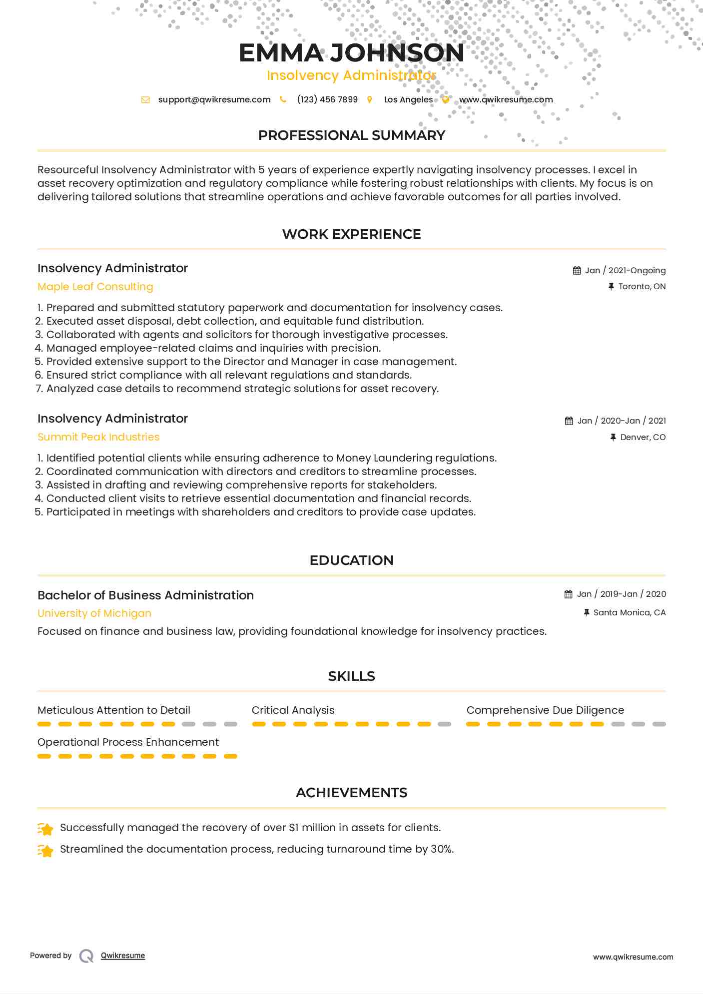 Insolvency Administrator Resume Example