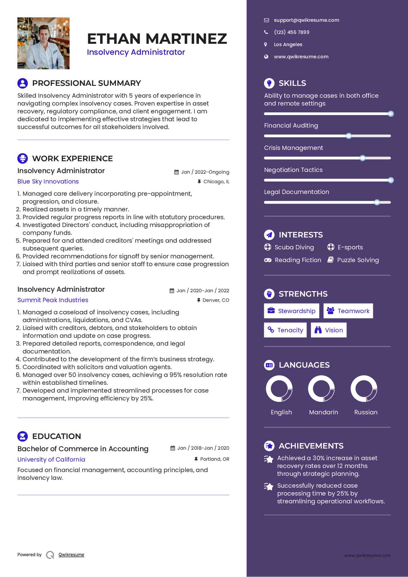 Insolvency Administrator Resume Format