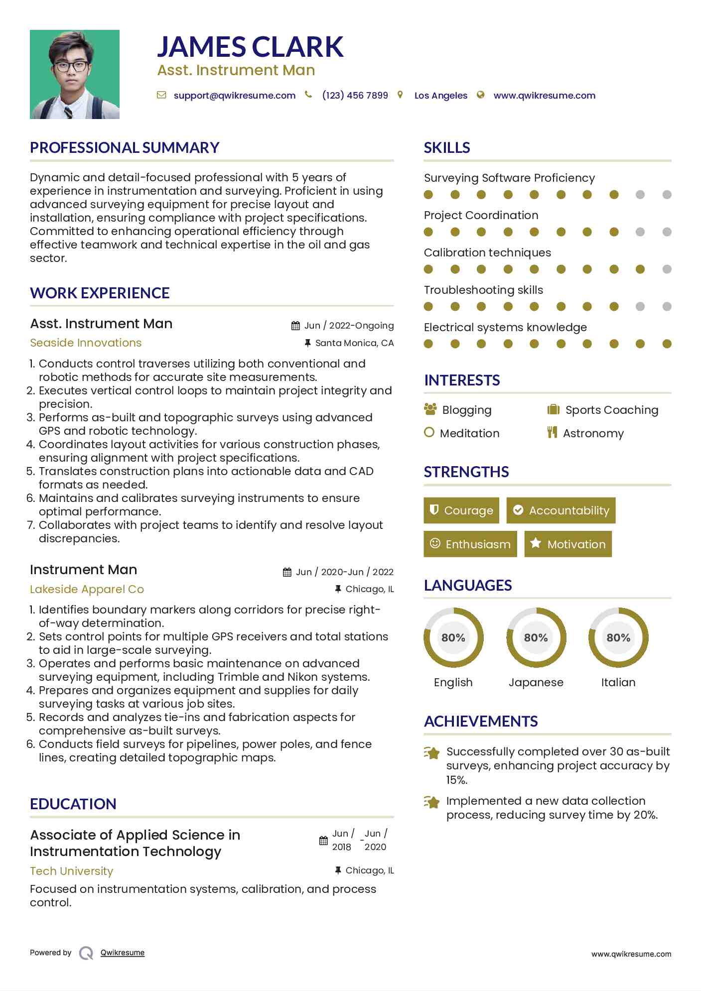 Asst. Instrument Man Resume Template