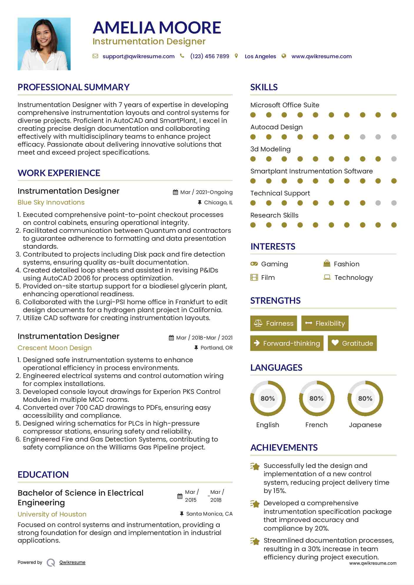 Instrumentation Designer Resume Template