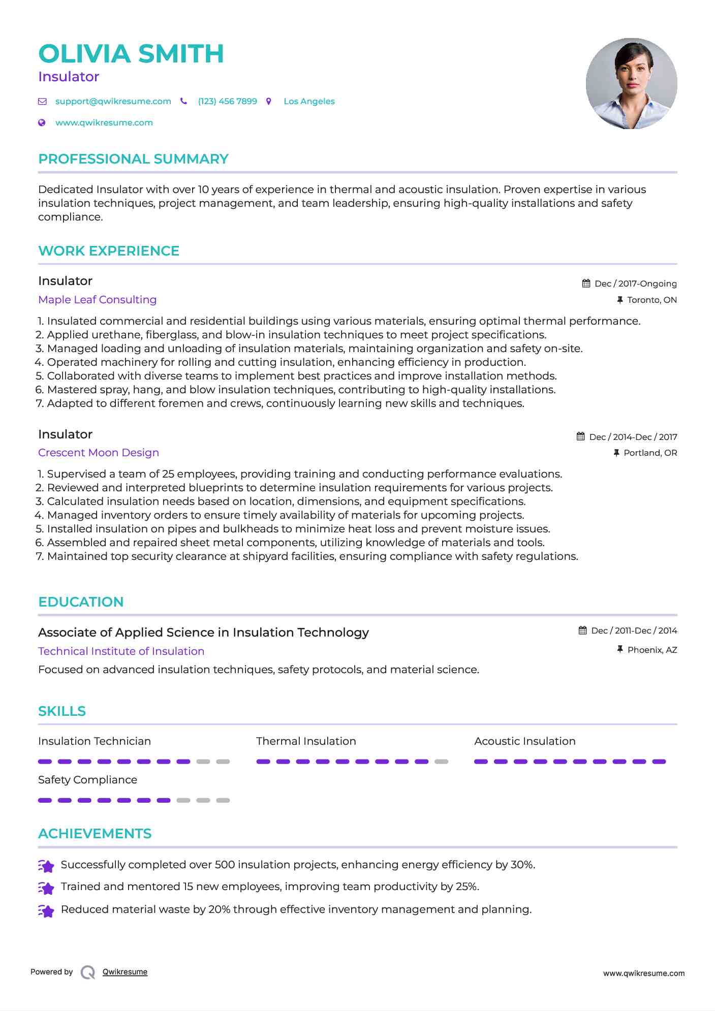 Insulator Resume Template