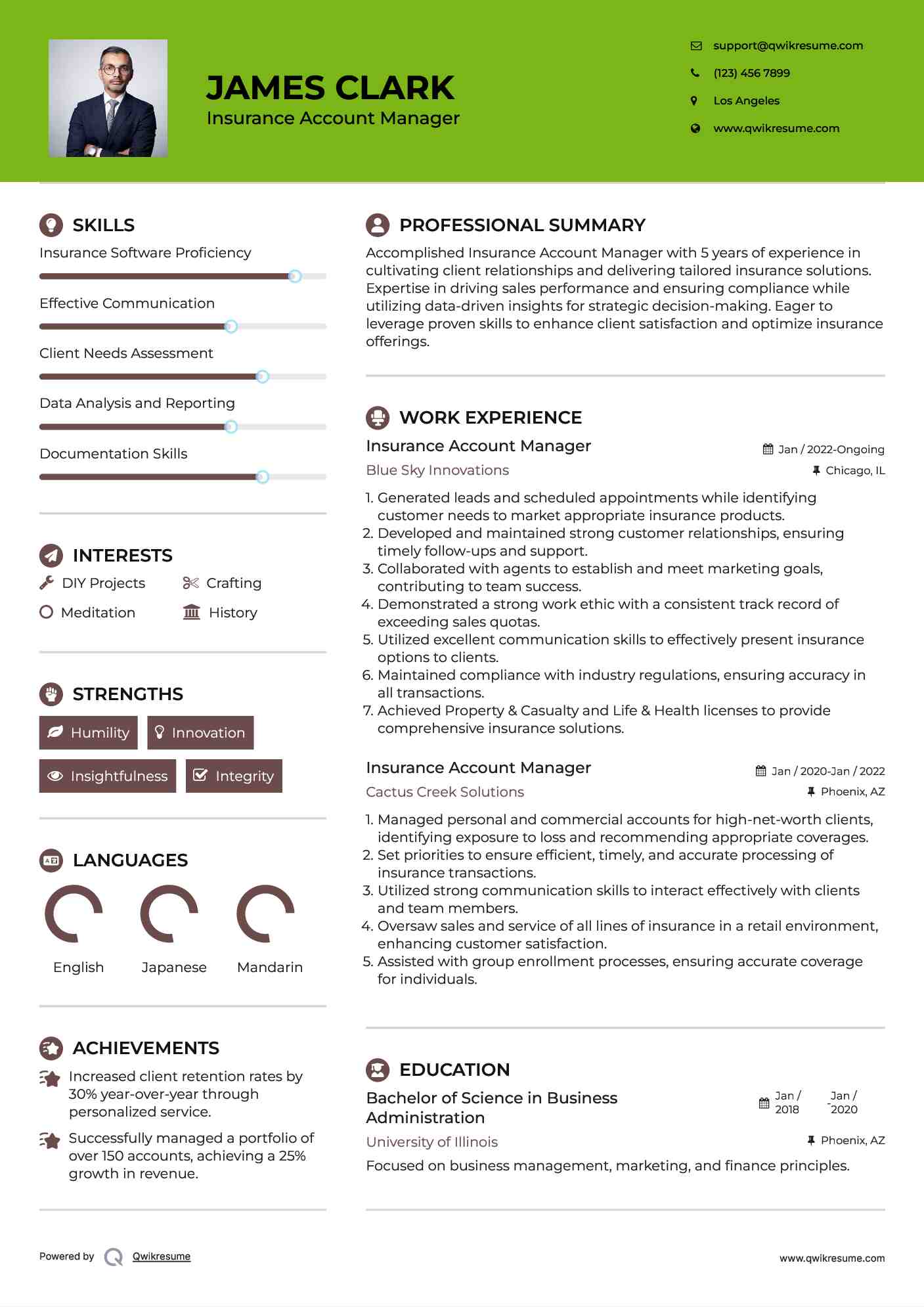 Insurance Account Manager Resume Format