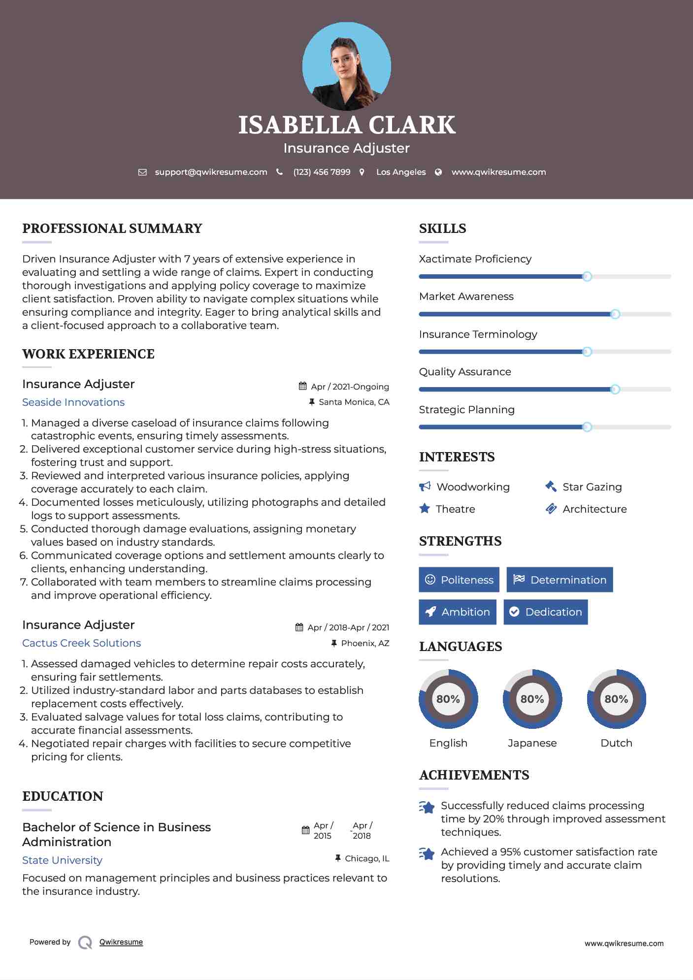 Insurance Adjuster Resume Example