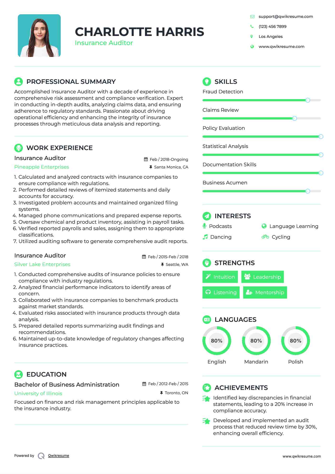 Insurance Auditor Resume Format
