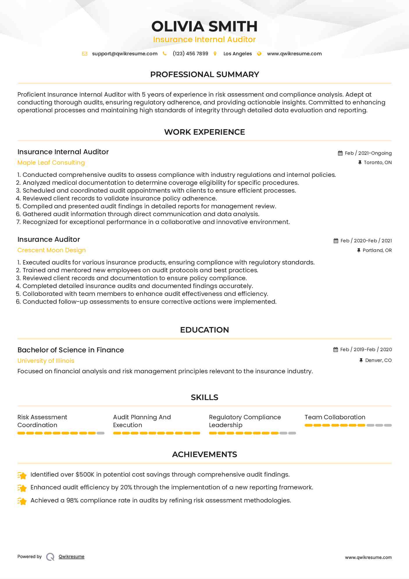 Insurance Internal Auditor Resume Model