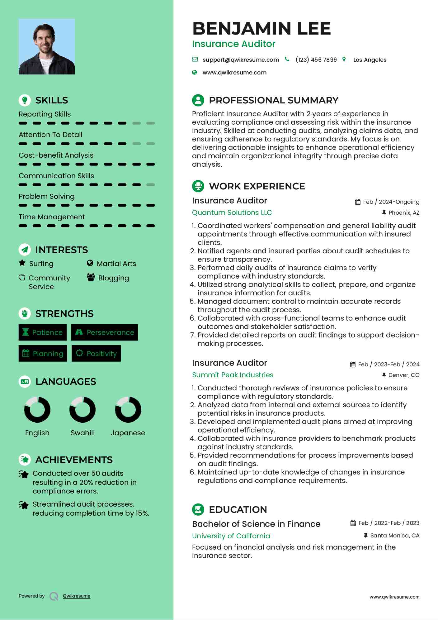 Insurance Auditor Resume Sample