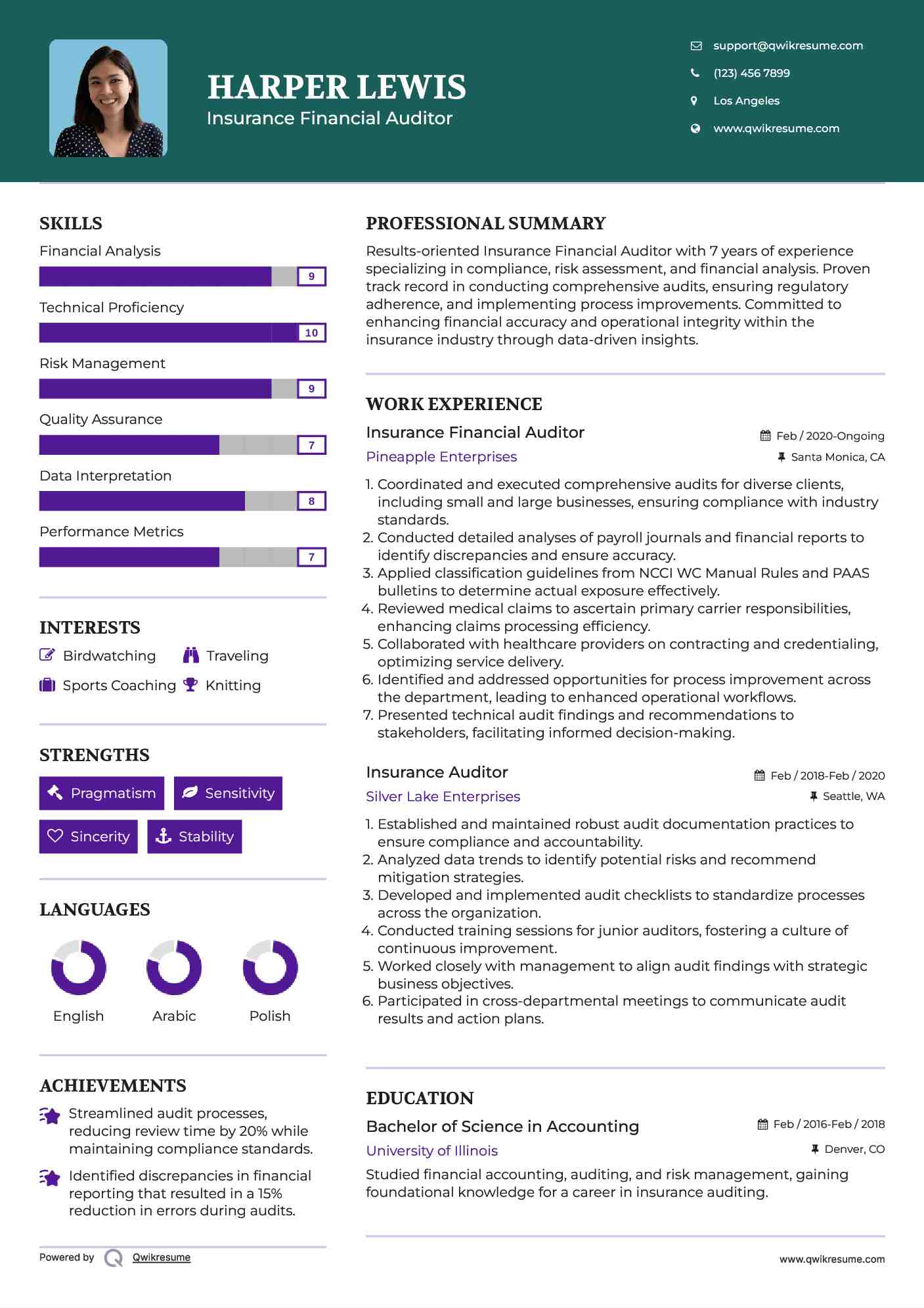 Insurance Financial Auditor Resume Example