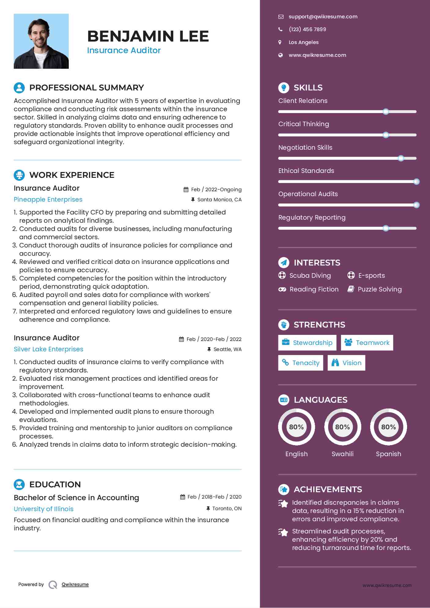 Insurance Auditor Resume Sample