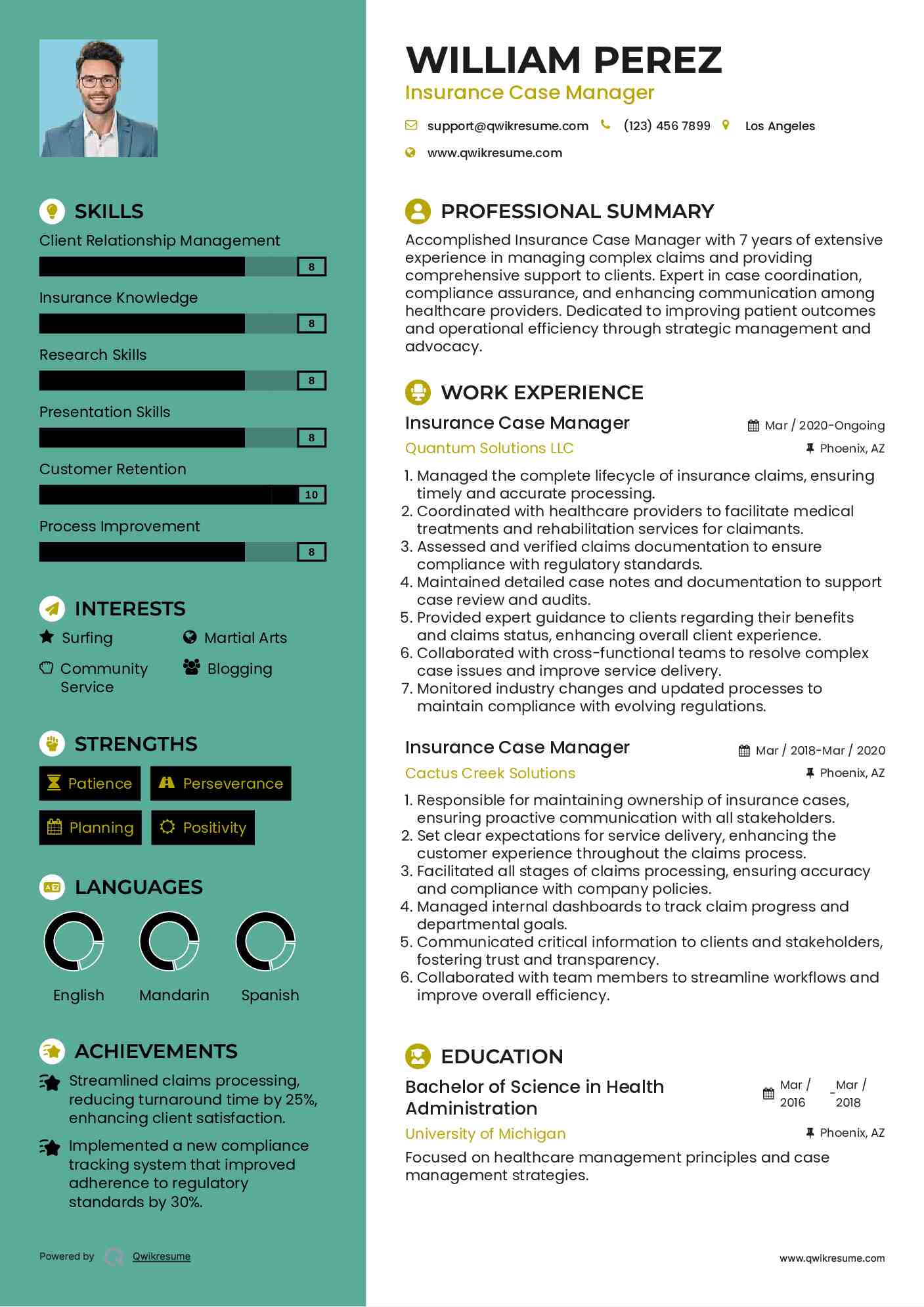 Insurance Case Manager Resume Model