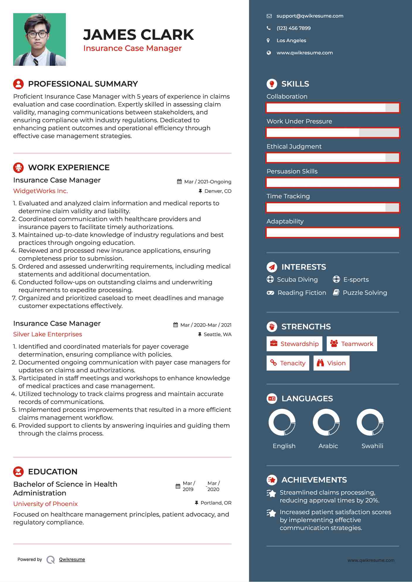 Insurance Case Manager Resume Template