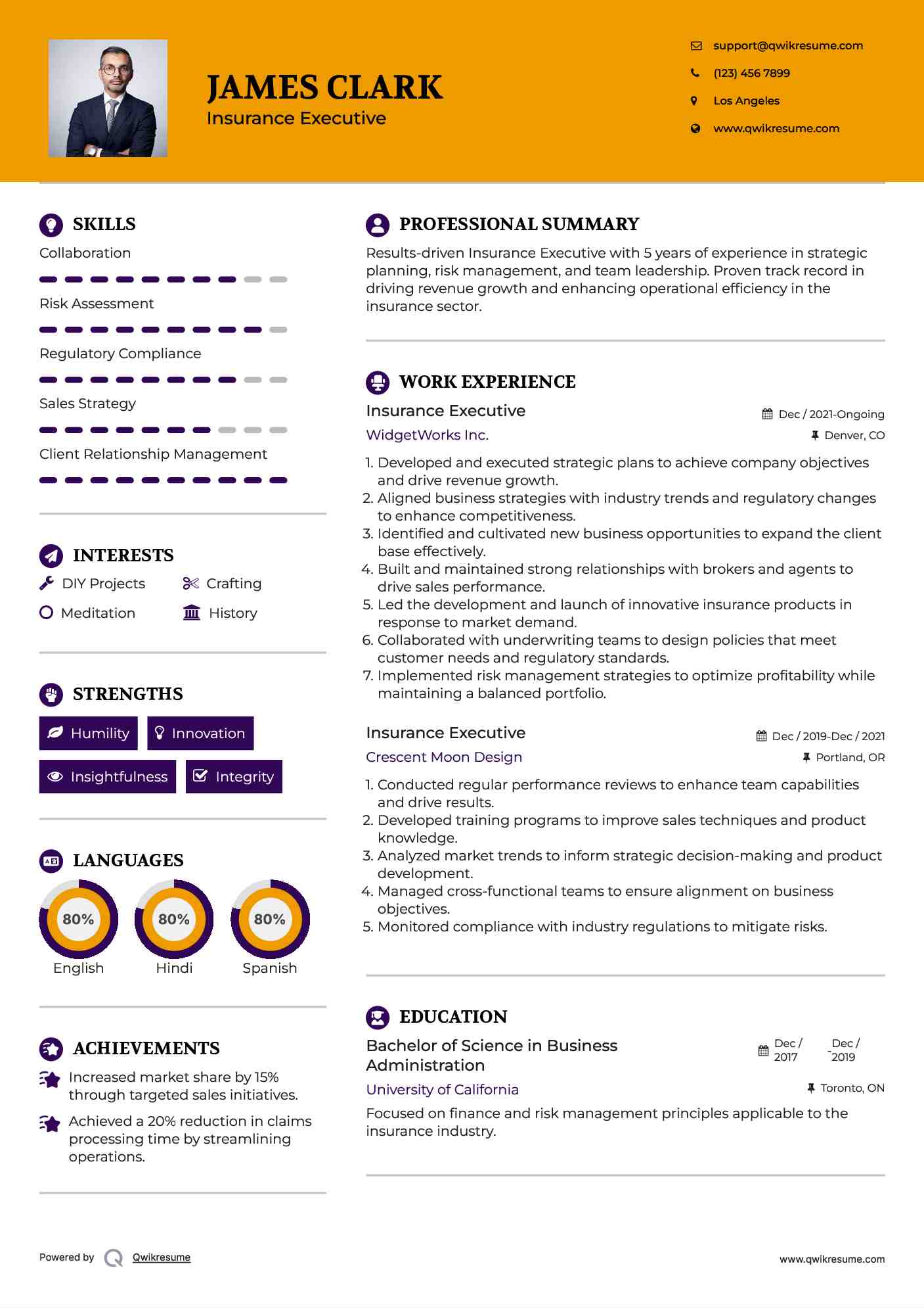 Insurance Executive Resume Template