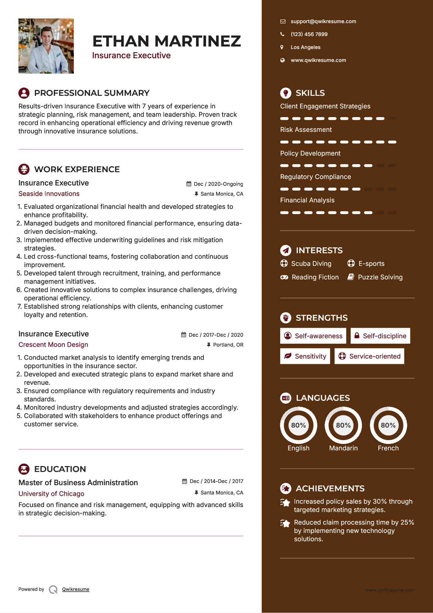 Insurance Executive Resume Model